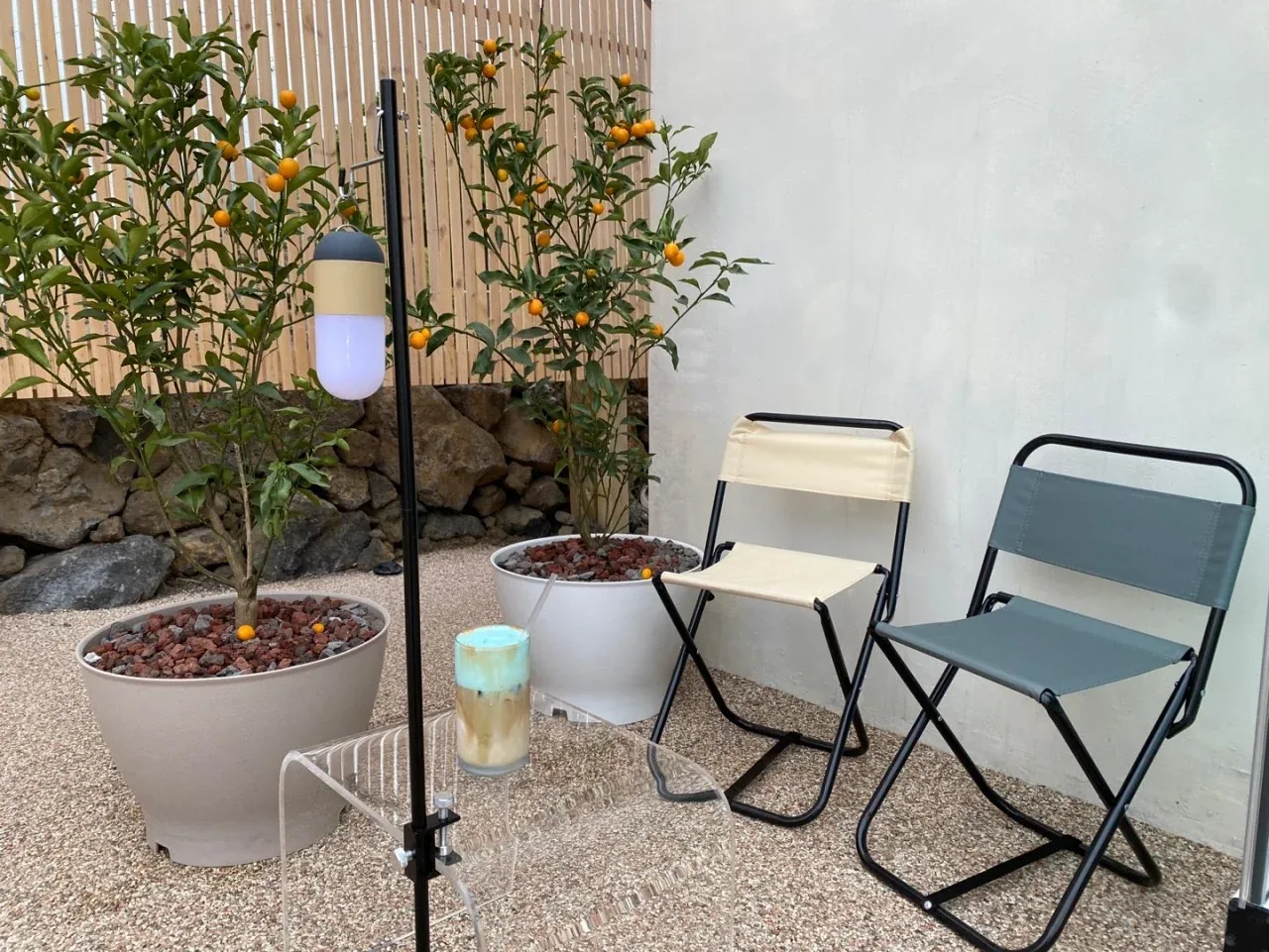 Citrus trees and outdoor terrace at The Turtle Is Gone Jocheon