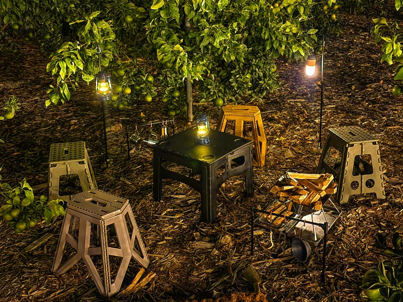 The citrus garden at The Turtle Is Gone café in Jocheon, Jeju