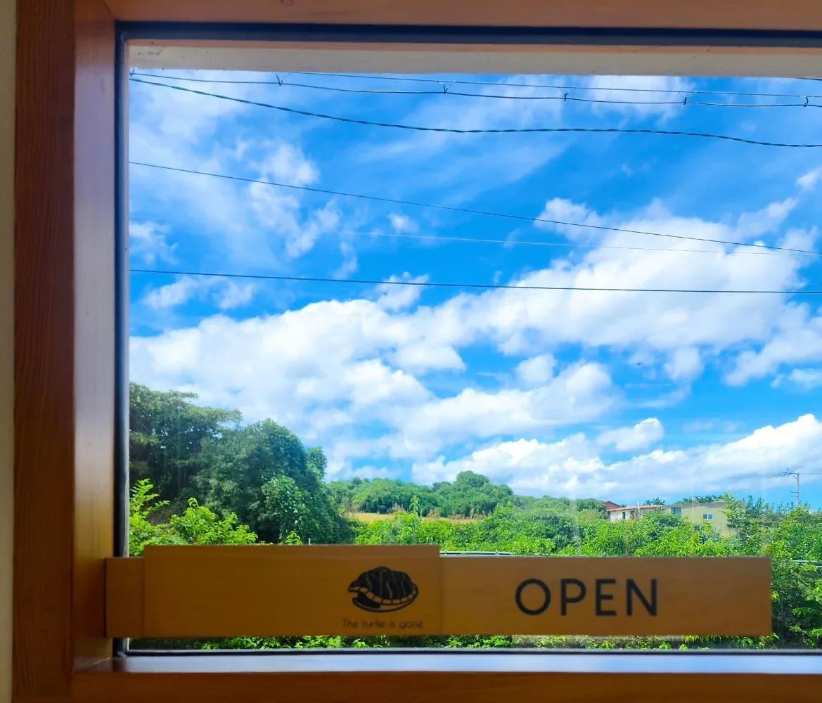 A quiet window view at The Turtle Is Gone Jocheon